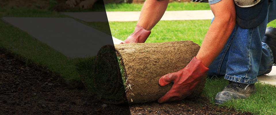 Long Branch Landscapers